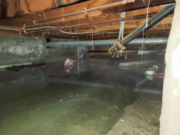 Best Sewage cleanup and water damage restoration  in Westminster, TX