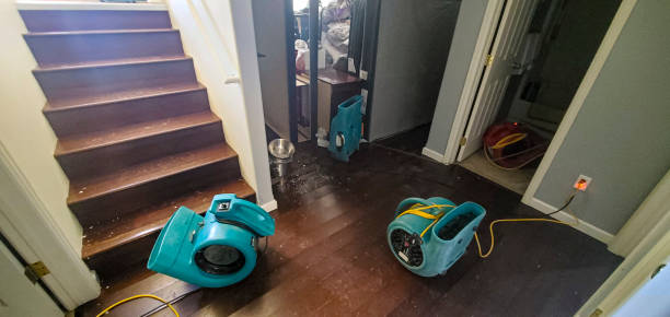 Best Professional water damage repair  in Westminster, TX