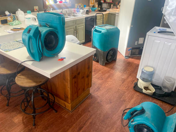 Best Water damage restoration near me  in Westminster, TX