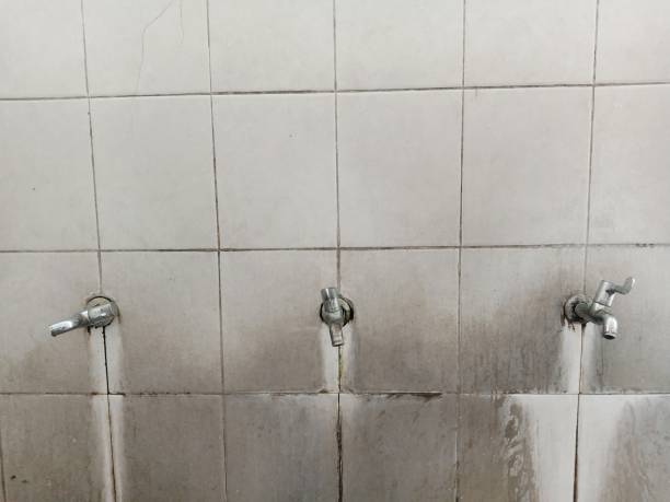 Best Commercial water damage restoration  in Westminster, TX