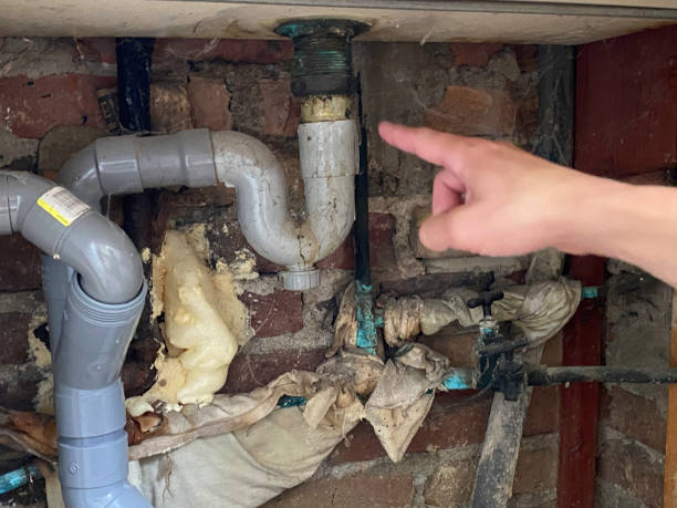 Best Water damage contractors near me  in Westminster, TX